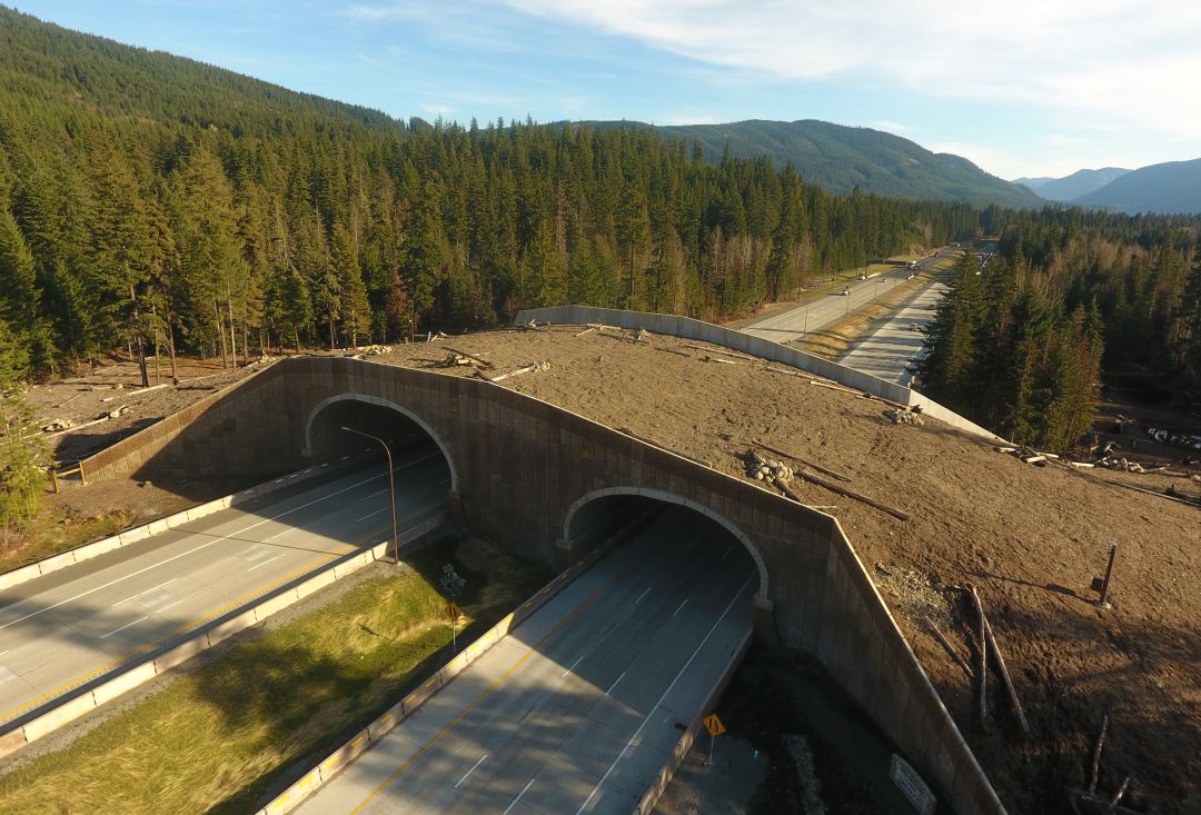I-90/Snowshed to Keechelus Dam – Phase 1C | Atkinson